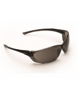 Richter Safety Glass, Pack of 12