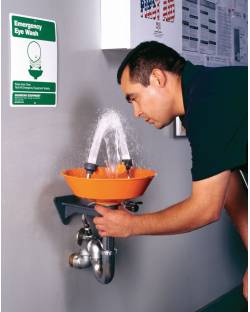 Guardian Eye/Face Wash Pedestal